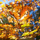 Illustration for article titled Shooting Challenge Fall Leaves Gallery 8